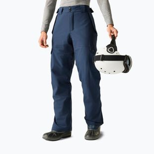 Мъжки скиорски панталони Dare 2b Baseplate Insulated Pant navy