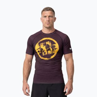 Мъжка тениска Pitbull Rashguard Logo Palms brown