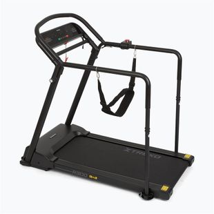 Електрическа пътека за бягане XTREXO R300 black
