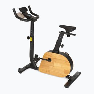 Електрически велосипед XTREXO EB400 black