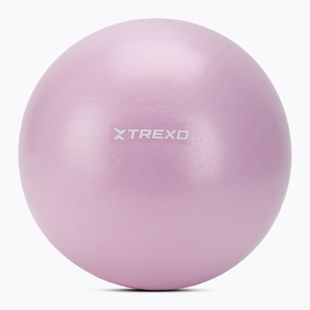 Мини гимнастическа топка XTREXO TXO-B4Z011-VT 25 cm purple