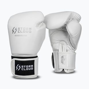 Боксови ръкавици StormCloud Muay Thai Blizzard 2.0 white/silver