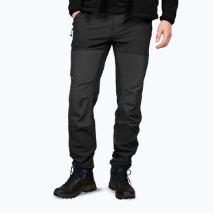 Мъжки панталони за трекинг Alpinus Dean black