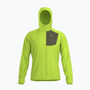Мъжки поларен суитшърт Arcteryx Delta Hoody mantis/tatsu