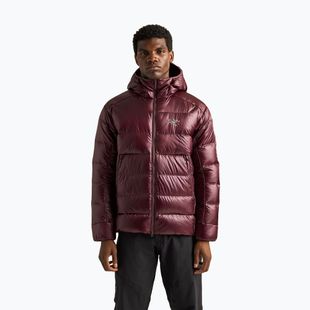 Мъжко ватирано яке Arcteryx Cerium SV Hoody ultima