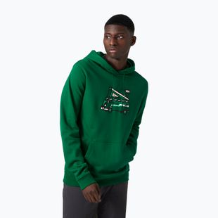 Мъжки потник за трекинг Helly Hansen F2F Organic Cotton Hoodie malachite