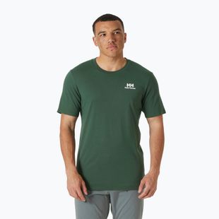 Мъжка тениска Helly Hansen Nord Graphic T jungle green