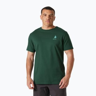 Мъжка тениска Helly Hansen Shoreline 3.0 jungle green