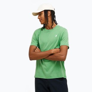 Мъжка тениска Explore Graphic peppermint на Peak Performance