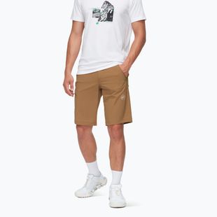 Мъжки шорти за трекинг Mammut Runbold IV claystone