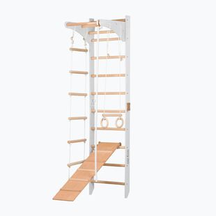 Гимнастическа стълба RINAGYM SPR C+SLIDE
