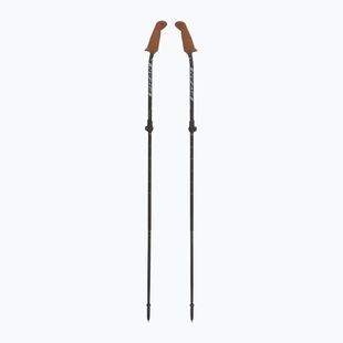 Физън Walx Xplorer пръти за северно ходене сиви