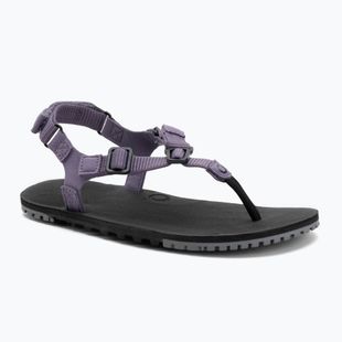 Дамски сандали за боси крака Xero Shoes H-Trail sage purple