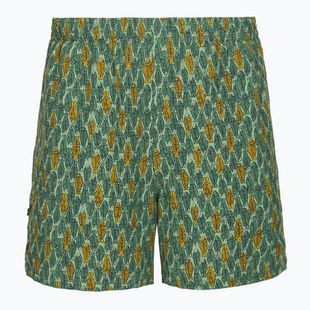 Мъжки панталони за трекинг Royal Robbins All-In algae flash pt