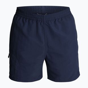 Мъжки панталони за трекинг Royal Robbins All-In navy