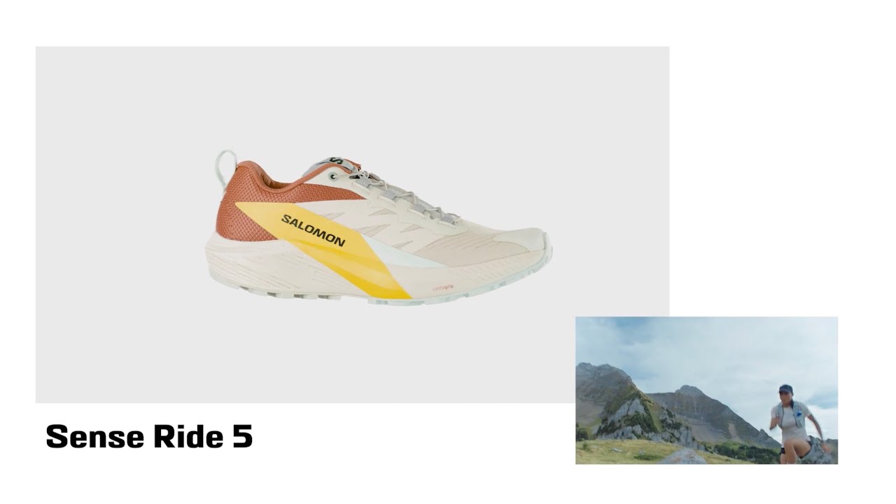 Мъжки обувки за бягане Salomon Sense Ride 5 черен L47214300