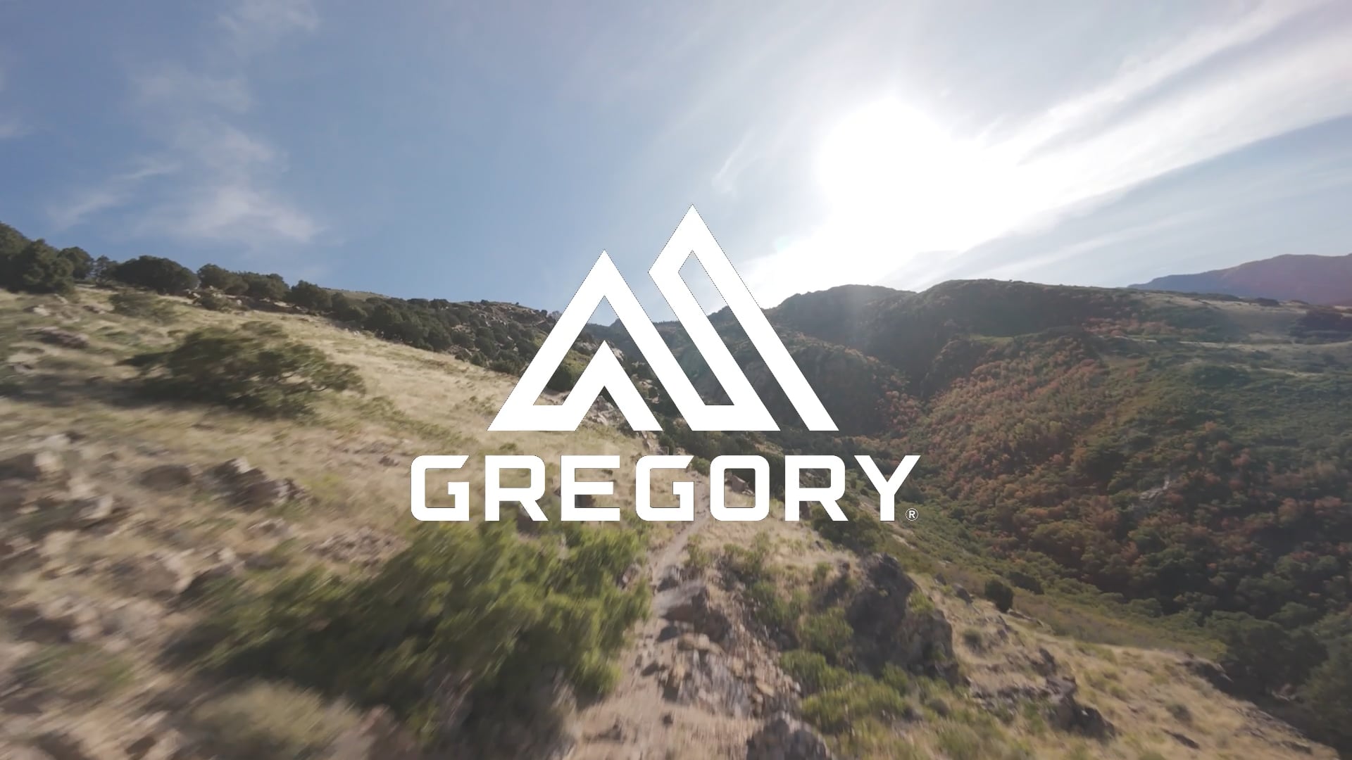 Туристическа раница Gregory Kiro 20 l RC legion blue