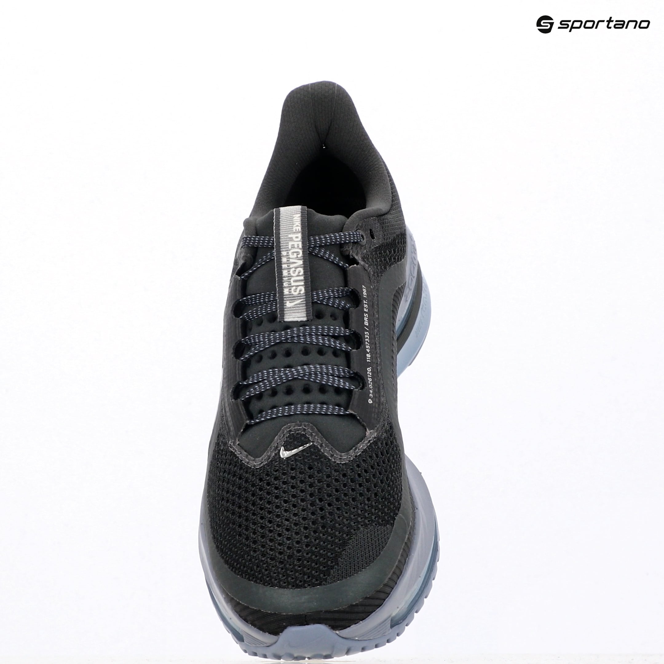 Мъжки обувки за бягане Nike Pegasus Premium anthracite/ashen slate/football grey/ure platinum