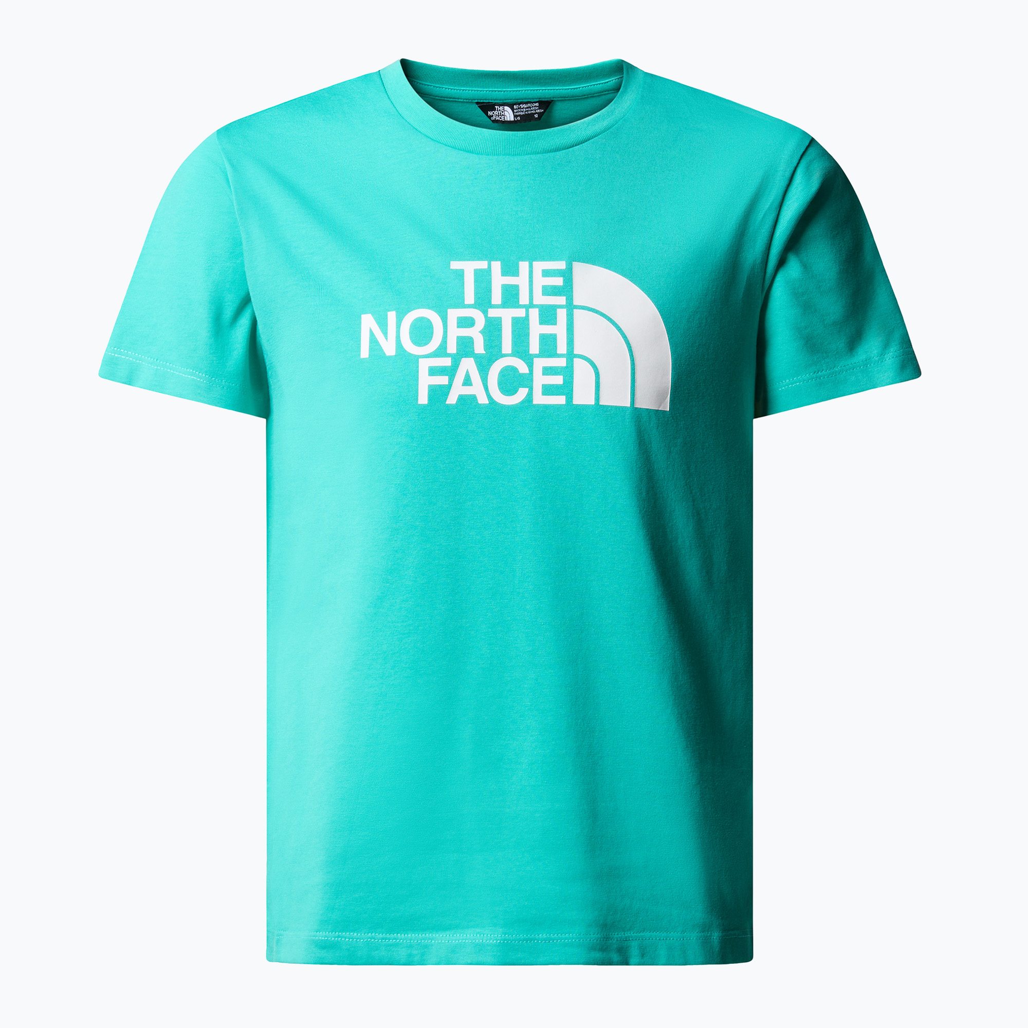 Детска тениска The North Face Easy geyser aqua