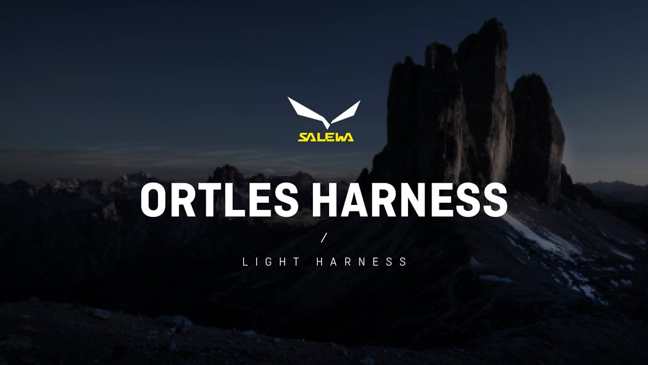 Salewa Ortles Катерачен сбруя жълт 00-0000001751