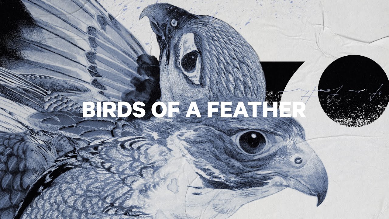 Дамски сноуборд CAPiTA Birds Of A Feather 1221108