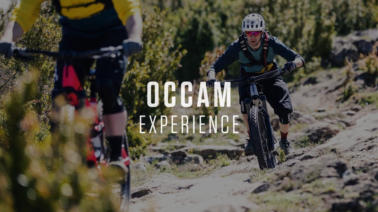 Orbea Occam H10 2023 тъмнозелен/лимоненозелен планински велосипед